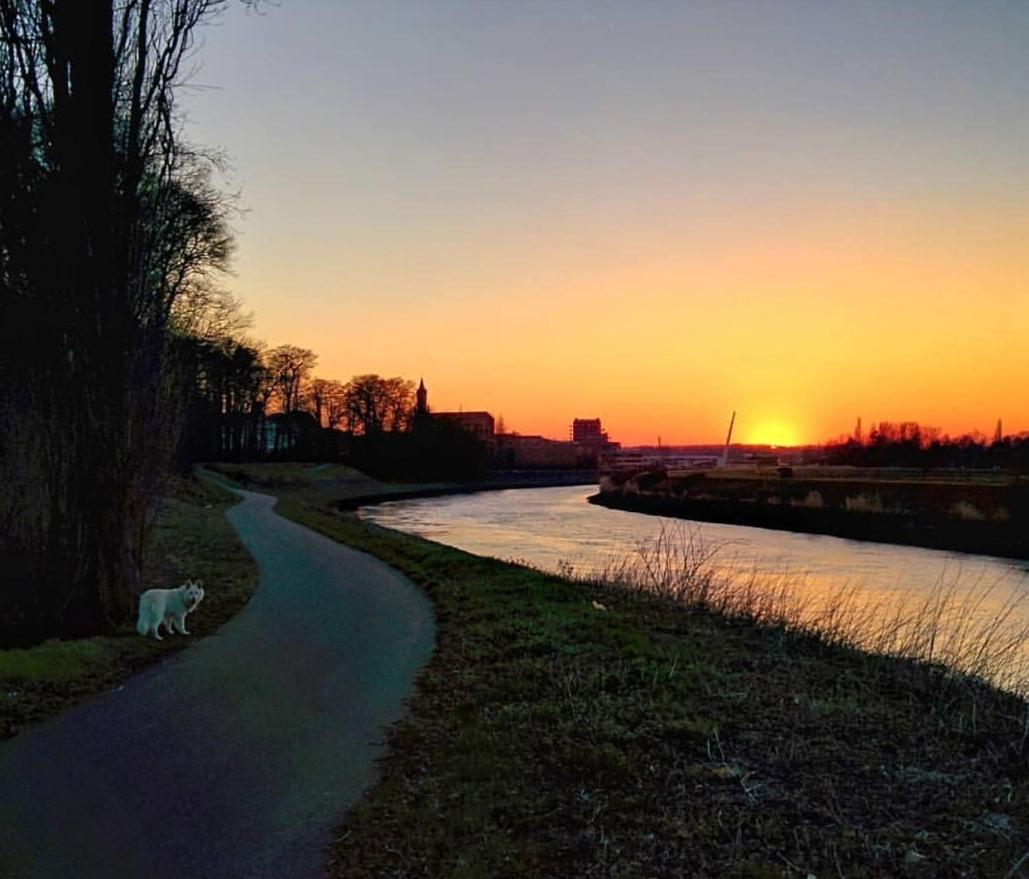 B&B Close2Ghent Heusden Bagian luar foto
